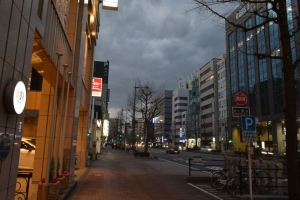 【舞鶴・赤坂】リッチなマンションやビルが立ち並ぶ街