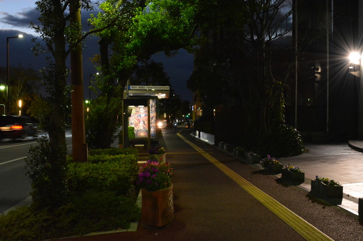 【福岡散歩日誌7】夕方の「舞鶴・赤坂辺り」を散歩【12月】：福岡城・鴻臚館前のバス停