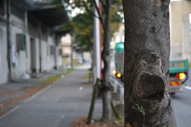 福岡散歩日誌：福岡倉庫横の道２