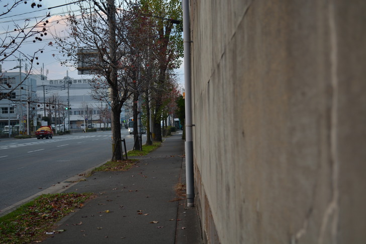 福岡散歩日誌：那の津の道路