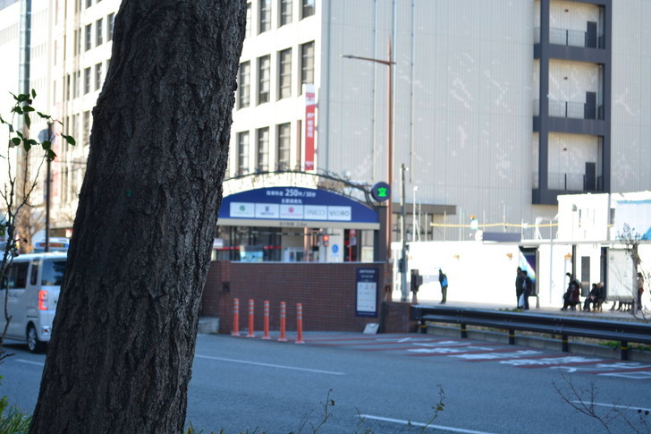 【福岡散歩日誌8】昼の昭和通り「天神橘口交差点～博多川通り」を散歩【12月】：木と郵便局