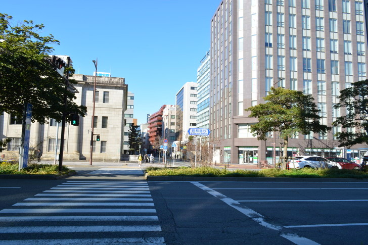 【福岡散歩日誌8】昼の昭和通り「天神橘口交差点～博多川通り」を散歩【12月】：横断歩道（昭和通り）