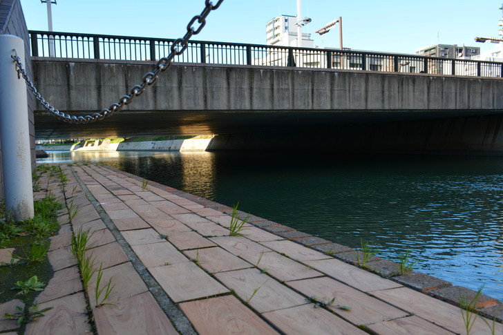 【福岡散歩日誌8】昼の昭和通り「天神橘口交差点～博多川通り」を散歩【12月】：博多川２