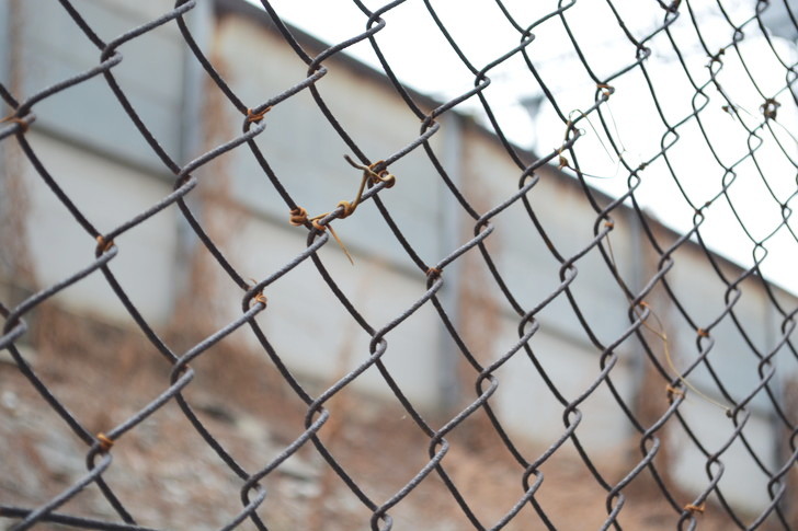 福岡散歩日誌：金網