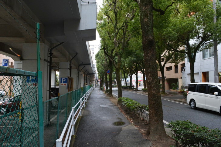 福岡散歩日誌：並木道