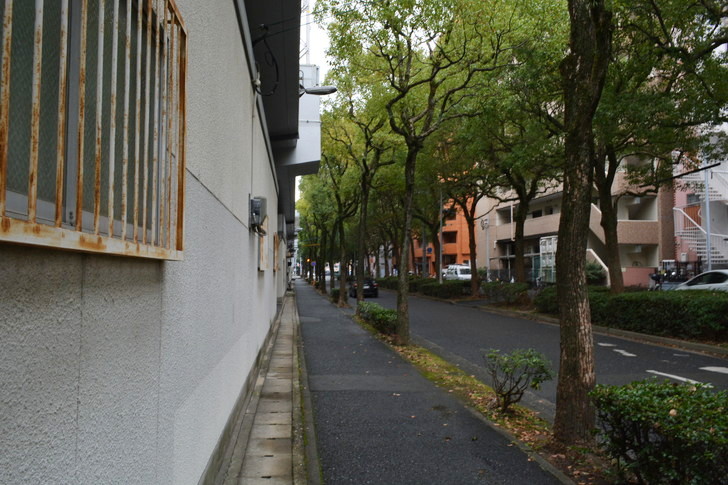 福岡散歩日誌：並木道と鉄格子