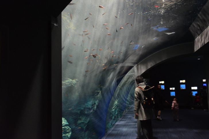 「マリンワールド」と「志賀島」を散歩：こんな感じ