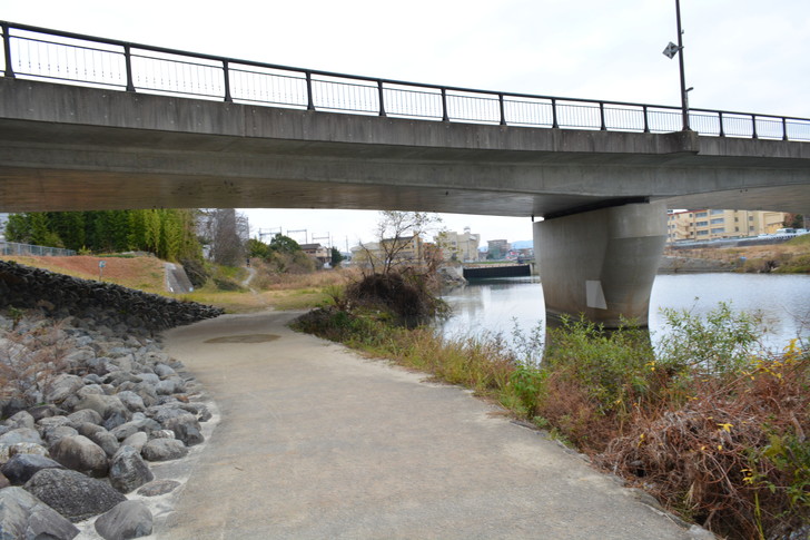 河川敷から見る橋