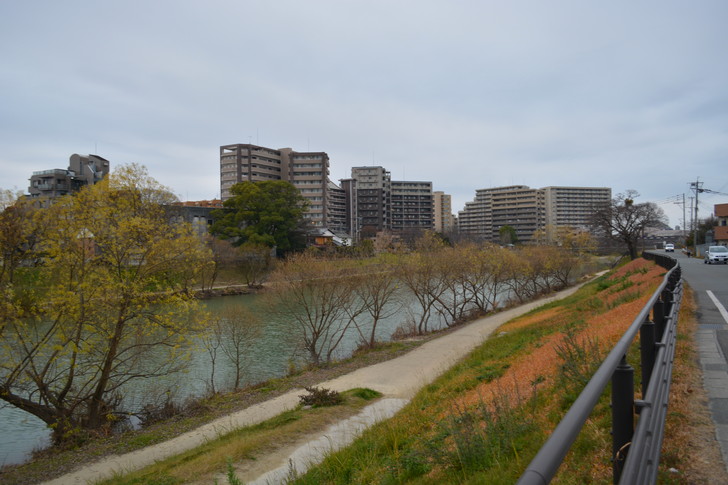 河川敷とマンション群