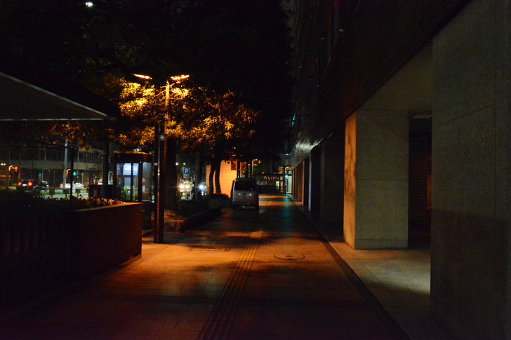 普通に暗い歩道