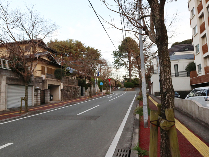 霊園周りのちょっと不思議な空間「福岡市中央区“平和”」を散歩：木と道路