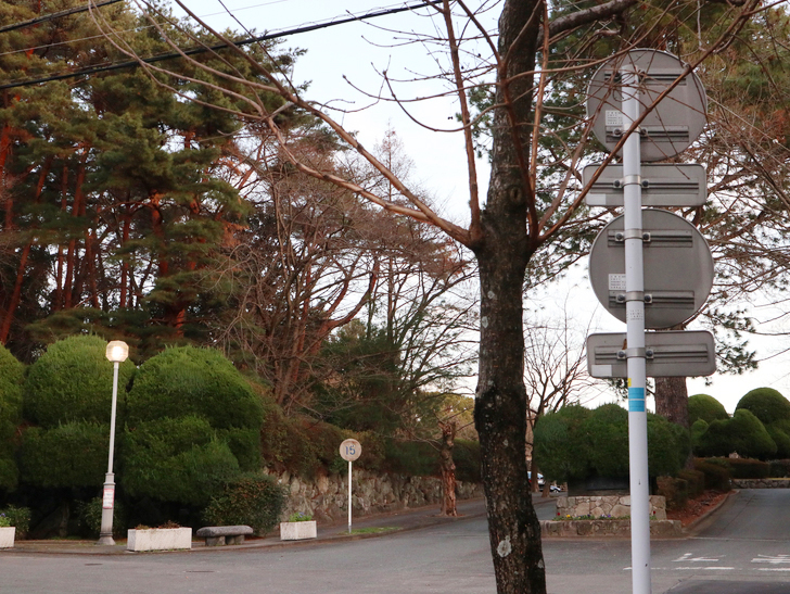 霊園周りのちょっと不思議な空間「福岡市中央区“平和”」を散歩：霊園の周りは緑が多い