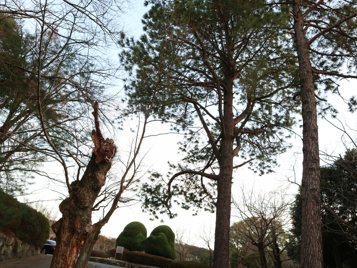 霊園周りのちょっと不思議な空間「福岡市中央区“平和”」を散歩：平尾霊園、入り口の景色