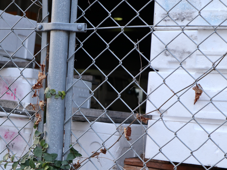 発砲スチロール