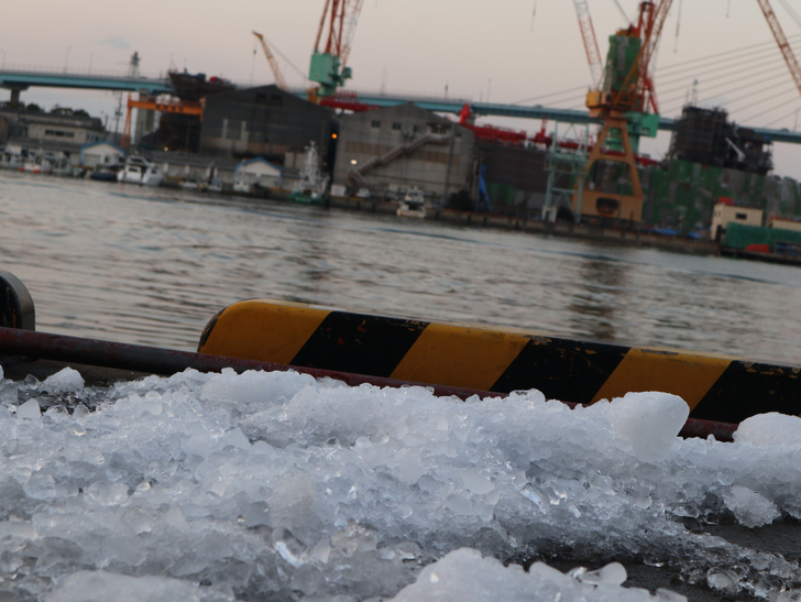 氷が捨てられている