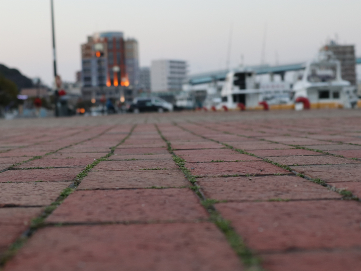 かもめ広場（地面）