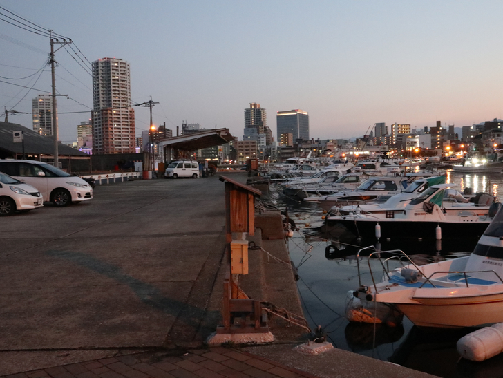 雰囲気がだいぶ違う