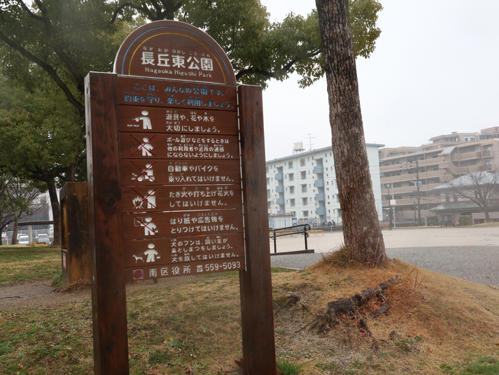 意外とお店が充実してる。絶対住みやすい街「長丘１丁目」を散歩：長丘東公園