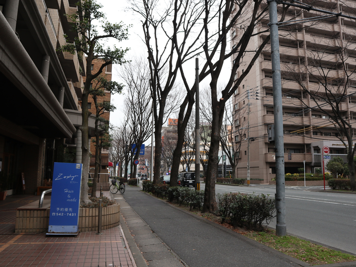 区役所周りの落ち着いた通り「福岡市南区塩原」をゆったり散歩：塩原の通り