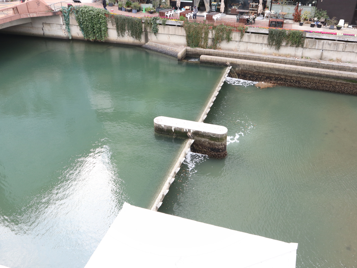 【博多】「水上公園」からの眺めが最高！：那珂川