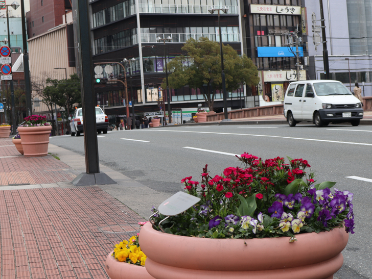 歩道の花壇