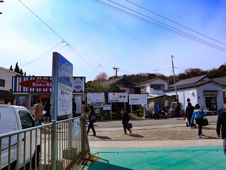 島民328人に対し「猫民100匹」！「相島（あいのしま）」に行ってきた：船を降りてすぐの景色