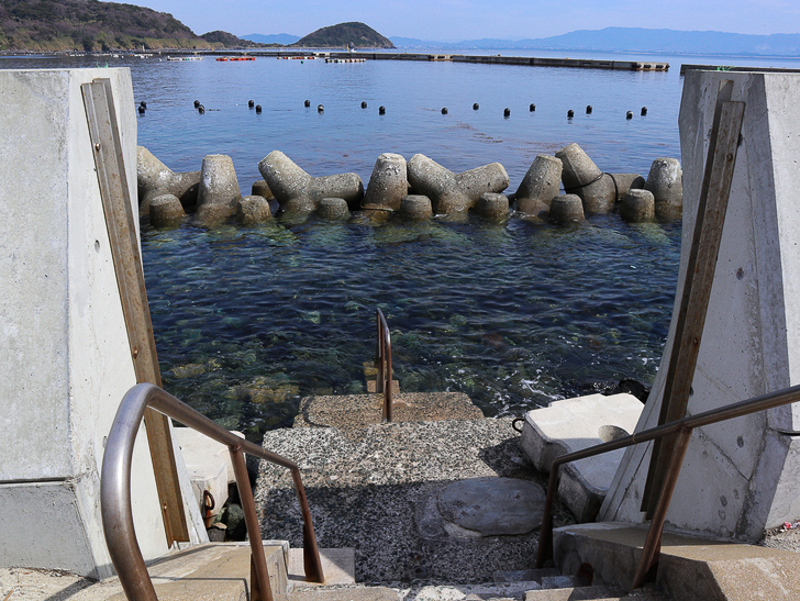 島民328人に対し「猫民100匹」！「相島（あいのしま）」に行ってきた：海の水がキレイ