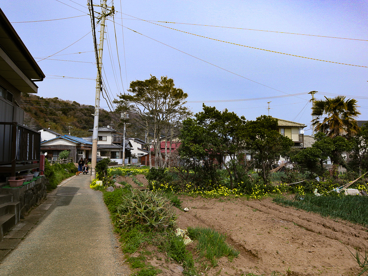 島民328人に対し「猫民100匹」！「相島（あいのしま）」に行ってきた：畑と家