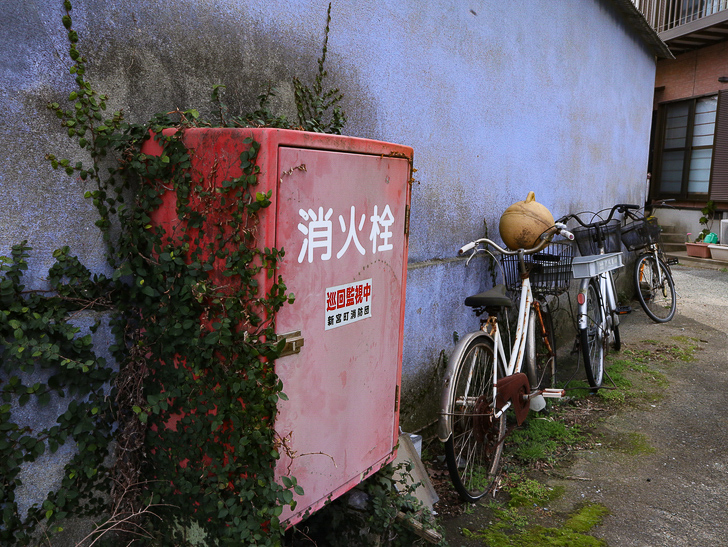 島民328人に対し「猫民100匹」！「相島（あいのしま）」に行ってきた：ツタが生えた消火栓