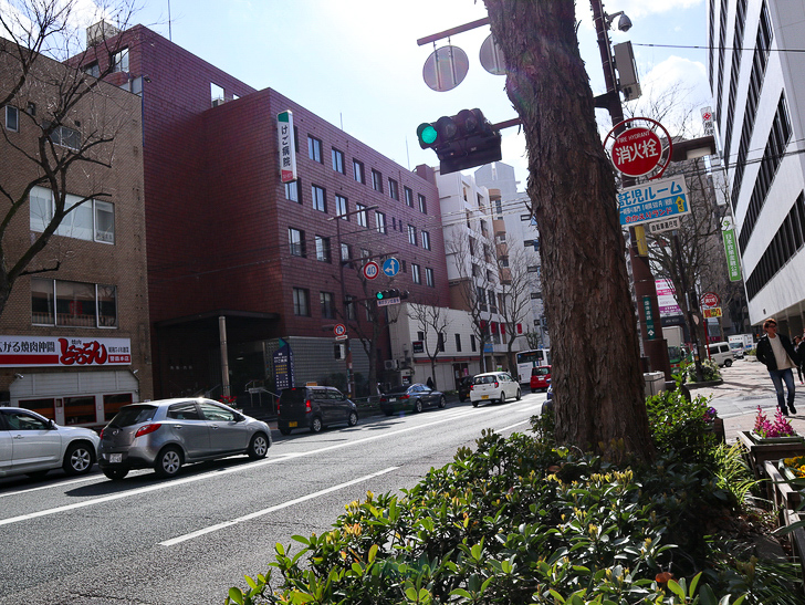 オシャレで趣のある街並み「警固交差点～大濠公園近く」までを散歩：街路樹と国体道路2
