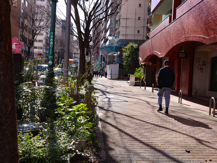 オシャレで趣のある街並み「警固交差点～大濠公園近く」までを散歩：けやき通り沿いの歩道
