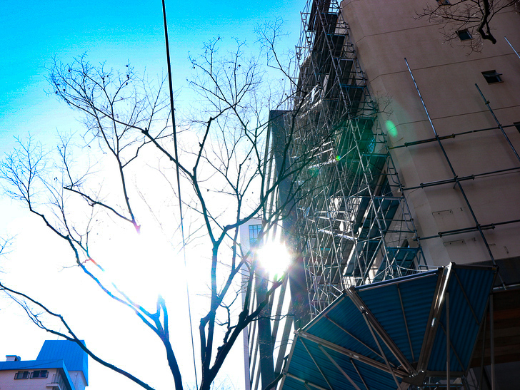 オシャレで趣のある街並み「警固交差点～大濠公園近く」までを散歩：足場