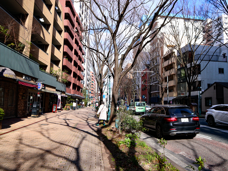オシャレで趣のある街並み「警固交差点～大濠公園近く」までを散歩：振り返って撮影