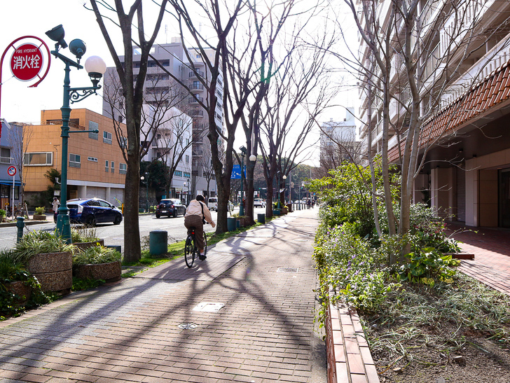 オシャレで趣のある街並み「警固交差点～大濠公園近く」までを散歩：歩道