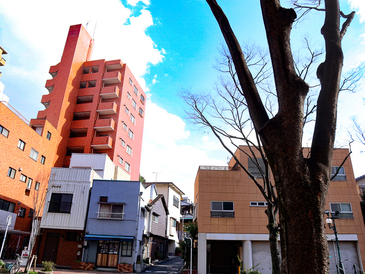 オシャレで趣のある街並み「警固交差点～大濠公園近く」までを散歩：街路樹・ビル・青空