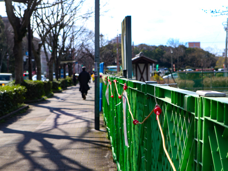 オシャレで趣のある街並み「警固交差点～大濠公園近く」までを散歩：即席フェンス