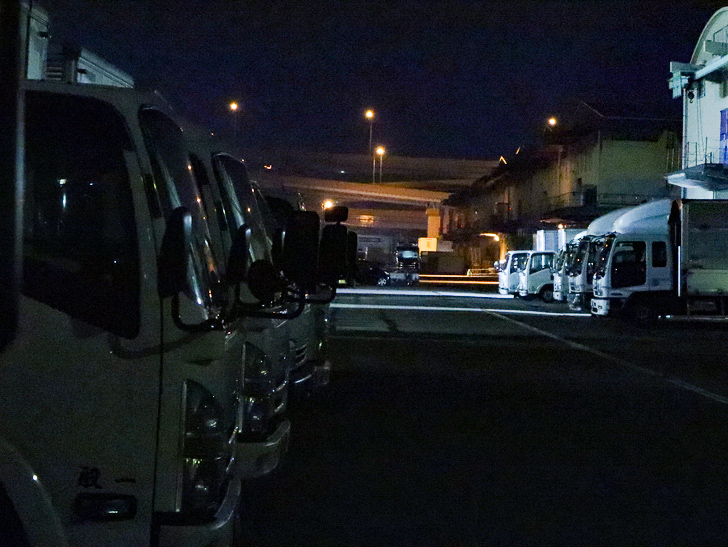 癒される異空間「深夜の須崎ふ頭」を散歩：たくさんのトラック