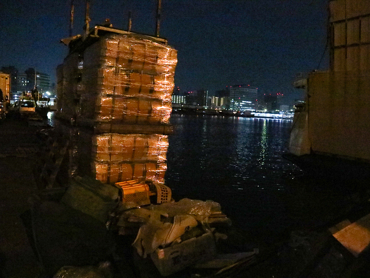 癒される異空間「深夜の須崎ふ頭」を散歩：なんらかの資材と海