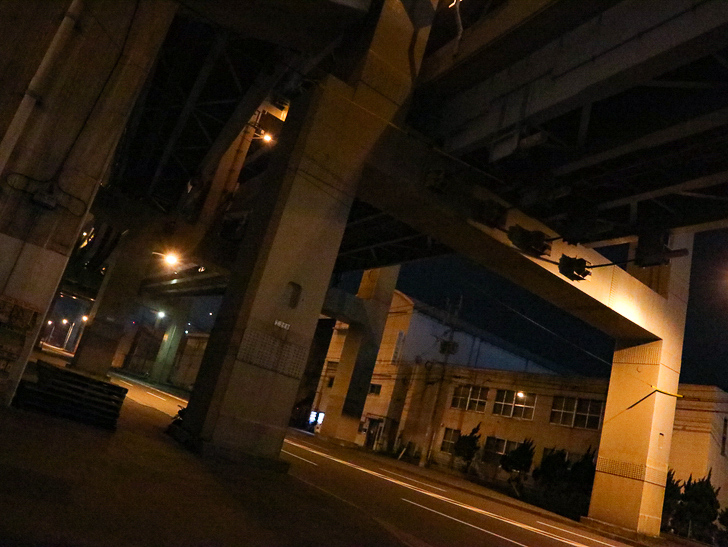 癒される異空間「深夜の須崎ふ頭」を散歩：いよいよ高架下をくぐる