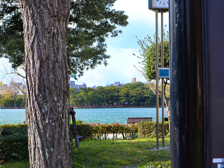 大きな池越しの都会「大濠公園」をまったり散歩：マップと木の間の景色