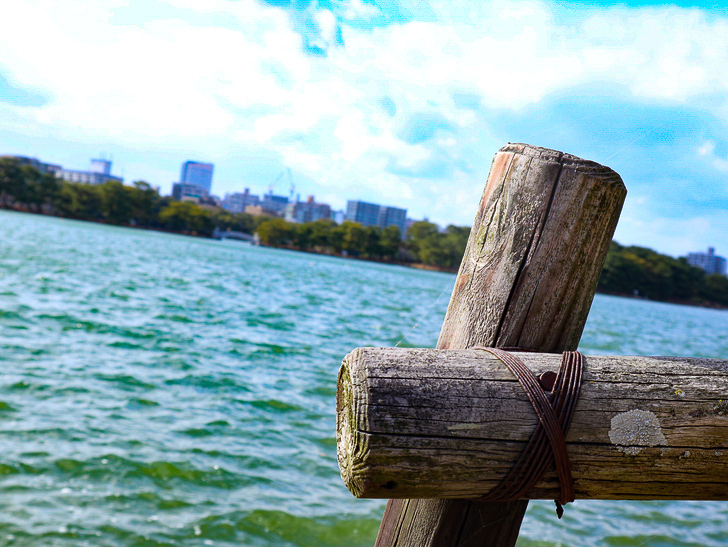 大きな池越しの都会「大濠公園」をまったり散歩：木製の支えとビル群