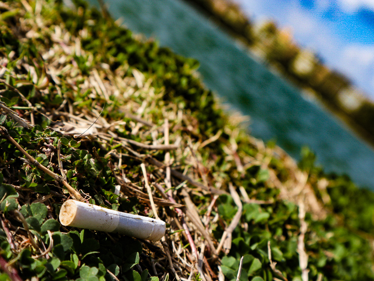 大きな池越しの都会「大濠公園」をまったり散歩：タバコの吸い殻と池