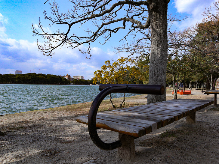大きな池越しの都会「大濠公園」をまったり散歩：腹筋？するベンチ