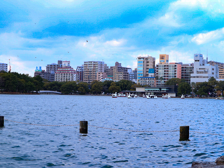 大きな池越しの都会「大濠公園」をまったり散歩：アヒルのボート、池、ビル