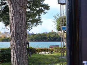 都会の中の大きな池「大濠公園」をまったり散歩