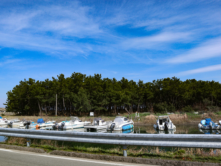 「西鉄新宮駅～相島渡船新宮待合所」までの徒歩ルートが絶景だった：湊川の向こう側は林と化している