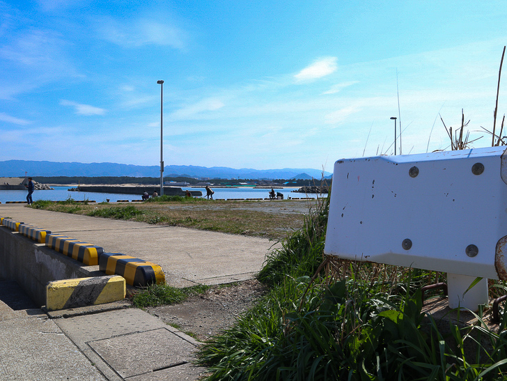 「西鉄新宮駅～相島渡船新宮待合所」までの徒歩ルートが絶景だった：ガードレールと海釣りを楽しむ人々