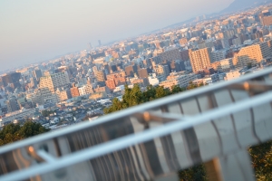 【穴場】夜景が最高な「平和南緑地展望台」に行ってきた【夕方・夜】