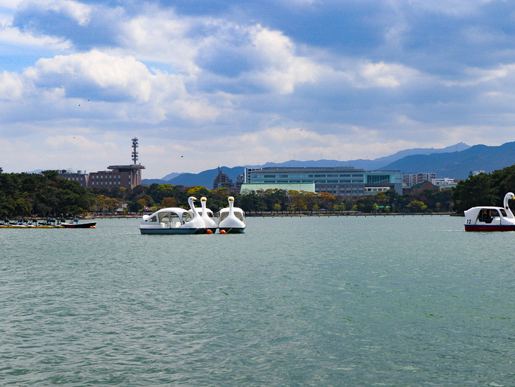 アヒルのボート