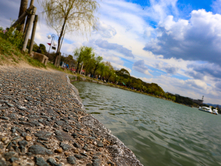 来ましたよ大濠公園に